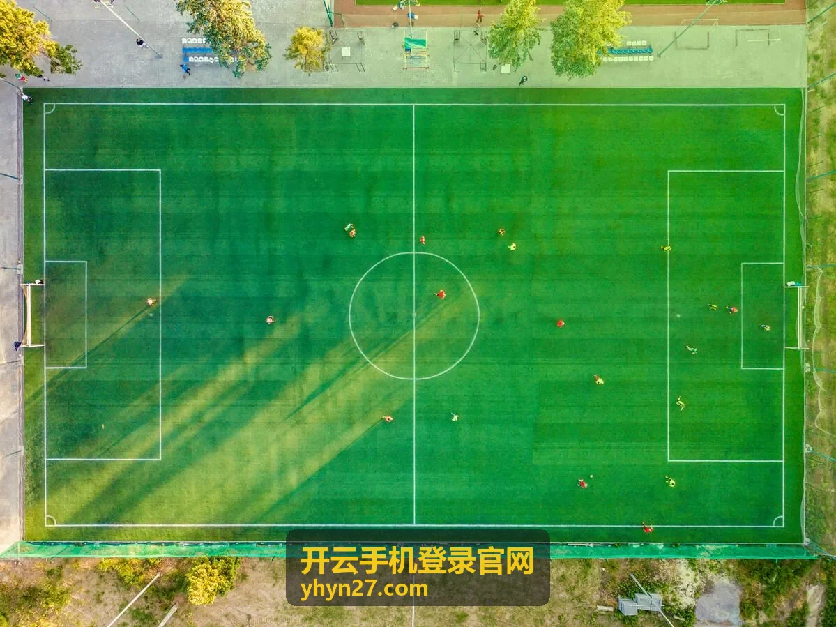 开云手机登录官网验证码接收排查